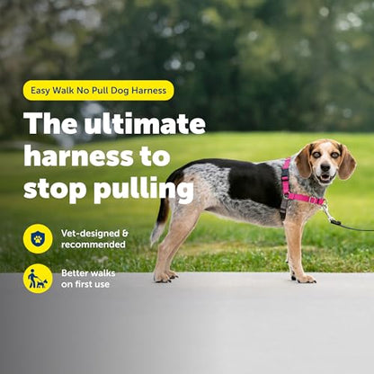 PetSafe Easy Walk No-Pull Dog Harness - The Ultimate Harness to Help Stop Pulling - Take Control & Teach Better Leash Manners - Helps Prevent Pets Pulling on Walks - Small/Medium, Raspberry/Gray - color: Raspberry Pink/Grey, size: Small/Medium