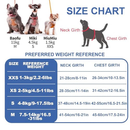 Puppytie No Pull Small Dog Harness with Multifunction Dog Leash,Lightweight Soft Adjustable No Choke Escape Proof Pet Harness Vest Pet Harness Vest,Denim Light Blue,S - color: Pocket-Light Blue, size: S