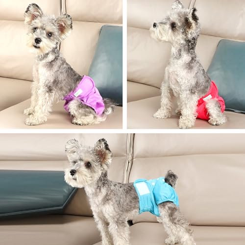 wegreeco Washable Reusable Premium Female Dog Diapers, Small Medium Large Size, Pack of 3,Dog Doggie Puppy & Doggy Diapers Female,Period Panties in Heat (Small) - color: Bright Color, size: Small