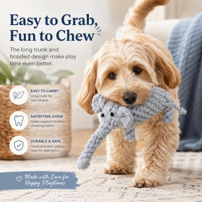 ADUCK Puppy Dog Rope Toy for Teeth Cleaning, Chew-Proof Dental Care & Training Reward | Durable Cotton Heather Gray Elephant for Small & Medium Dogs - color: Grey Elephant