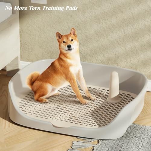 Dog Toilet Training Potty Tray, Reusable Training Pad Holder Pet Bedpan, Indoor Puppy Potty Trainer for Small Dogs Puppies and Small Animals 15.75''LX11.81''WX4.33''H (Green) - color: Green