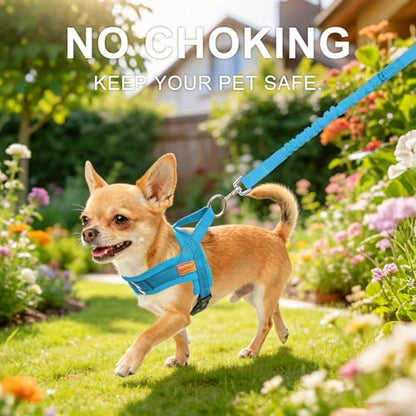 BEAUTYZOO No Pull Dog Harness Medium Sized Dog, Breathable Mesh Padded Dog Harness and Leash Set, Adjustable Reflective Escape Proof Dog Vest Harnessss Quick Fit for Training Walking, Blue M - color: Blue, size: M: Chest 21"-26.7"