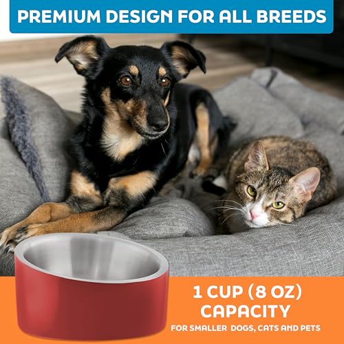 Master Pet Supply Stainless Steel Slanted Dog Cat Food Bowl - 8 oz Heavy Duty - Crimson Flame, Double Wall Insulated, Non-Slip Elevated Bowl for French Bulldogs Pugs Cats, Anti Rust Dishwasher Safe - color: Crimson Flame, size: 1 Cup (8 oz)