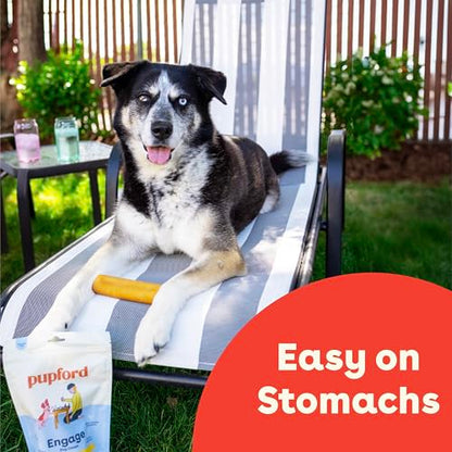 Pupford Yak Cheese Chews for Dogs & Teething Puppies, Natural, Long-Lasting Himalayan Dental Treats (3 Pack Small) - size: 1 Ounce (Pack of 3), style: For Small Dogs