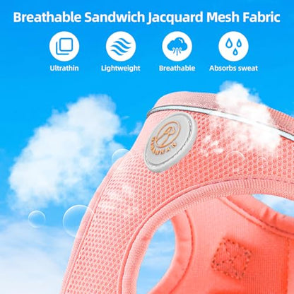 Soft Mesh Dog Harness and Leash Set, No Pull Puppy Harness and Leash Set, Reflective Step in Harness for Small Medium Dogs, Easy Walk Escape Proof Vest Harnesses (Pink, XS) - color: Pink, size: XS