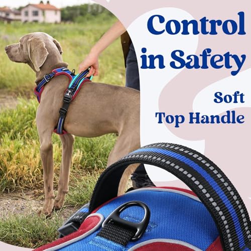 rabbitgoo Dog Harness Small Sized, No Pull Easy On & Off with 3 Buckles Pet Harness, Adjustable Soft Walking Vest with 2 Clips and Handle, Reflective for Small Dogs, Royal Blue & Red, S - color: Royal Blue & Red, size: Small