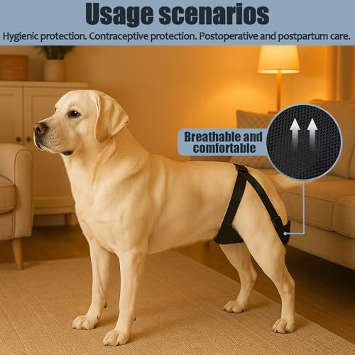 2 Pack Dog Nappies Female and Male with 30 Detachable Absorbent Pads, Reusable Belly Bands for Dogs, Breathable Mesh Dog Diapers Incontinence, Excitable Urination or Heat, (Blue&Black,S) - size: S