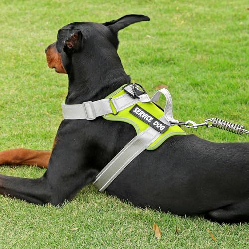 Service Dog Harness - color: NeonGreen, size: X-Small (Pack of 1)