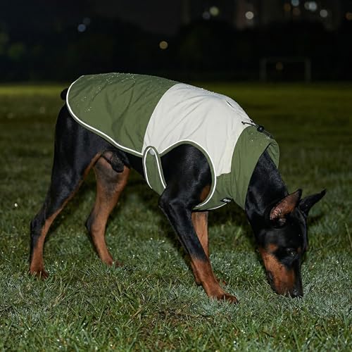 Waterproof Dog Raincoat with Harness Opening, Reflective Dog Rain Jacket for Dogs, Adjustable Drawstring Neck & Secure Belly Strap, Windproof Outdoor Pet Coat, Green (XX-Large) - size: XX-Large