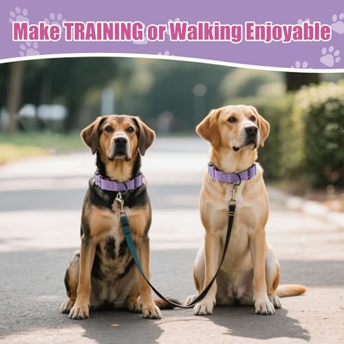Martingale Dog Collar, Reflective No Pull Training Collar with Quick Release Buckle, Adjustable Heavy Duty Nylon Choker Collars for S M L Dogs (Lavender, L (1" x 19"-26")) - color: Lavender, size: L (1" x 19"-26")