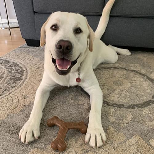 Chew King by Mammoth Dog Bacon Lovin’ Wishbone, Nylon Bones, Textured Bacon Flavored Chew Toy, for All Breed Sizes - size: Medium, style: Wishbone (1 Pack)