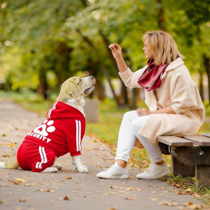 Soft & Warm Dog Outfit - Pullover Hoodie & Sweatshirt for Small, Medium & Large Dogs (Red, XX-Small) - color: Red, size: XX-Small