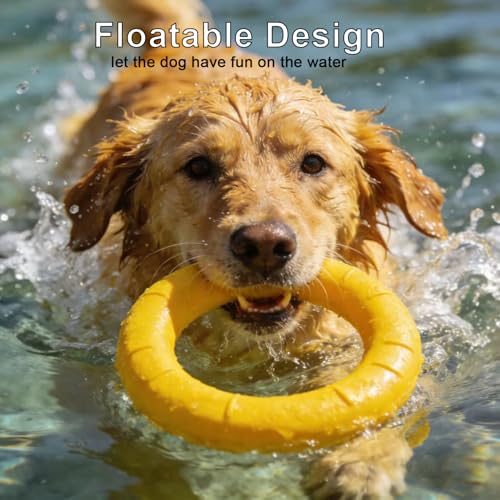 Pet Toy Flying Discs for Large/Medium Dogs, Durable Rubber Fetch Frisbee, Soft Lightweight Interactive Outdoor Throw Toy for Aggressive Chewers, Training Exercise Pet Play Toy