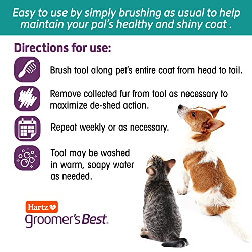 Hartz Groomer's Best Small Slicker Brush for Cats and Small Dogs, Black/Violet, 1 Count - size: 1 Count (Pack of 1), style: Small Slicker Brush