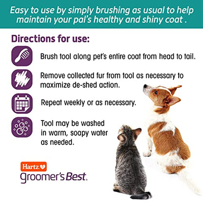 Hartz Groomer's Best Small Slicker Brush for Cats and Small Dogs, Black/Violet, 1 Count (Pack of 2) - size: 1 Count (Pack of 2), style: Small Slicker Brush
