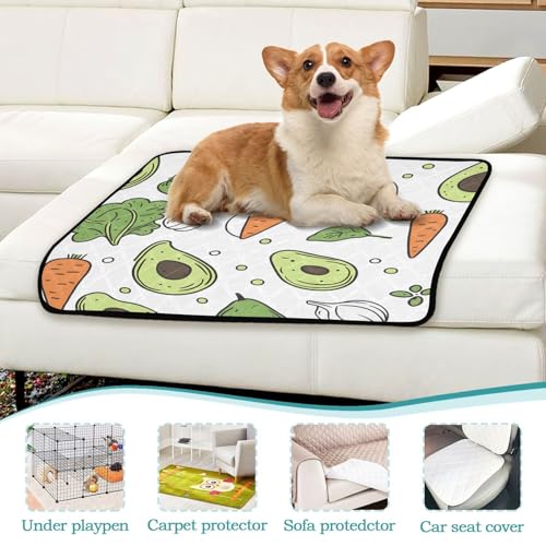 Qilmy Avocados Pet Mat, Waterproof Reusable Dog Training Pad Anti-Slip Pet Creat Pad for Small Medium Large Dogs and Cats - size: Medium+Large