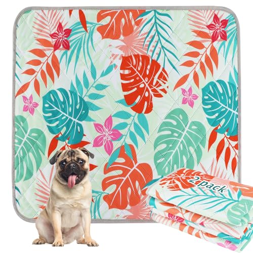 BVAGSS Washable Pee Pads for Dogs, 2 Pack Reusable Leakproof Puppy Wee Wee, Non-Slip Waterproof Pet Training, Super Absorbent Whelping XH081 (Green Palm Leaves, 30X20 Inch) - color: Green Palm Leaves, size: 30X20 Inch (Pack of 2)