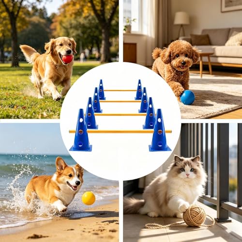 Dog Agility Exercise Course, Hurdle Cones Obstacle Training Equipment with Adjustable Poles, Compact Backyard Set for Pet Fitness, Outdoor Play Use