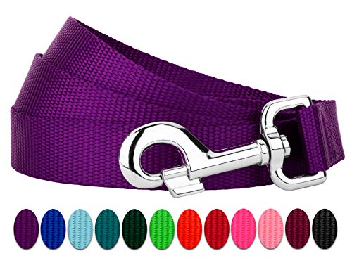 Country Brook Petz - Vibrant 17 Color Selection - Heavyduty Doublehandle Nylon Leash (6 Foot, 3/4 Inch Wide, Purple) - color: Purple