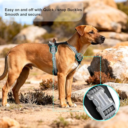 No Pull Dog Harness – Adjustable Reflective Nylon Vest for Small Medium Large Dogs, Escape Proof Training Harness with Leather Control Handle, Lightweight Aluminum Hardware (Black, M) - color: Black, size: M