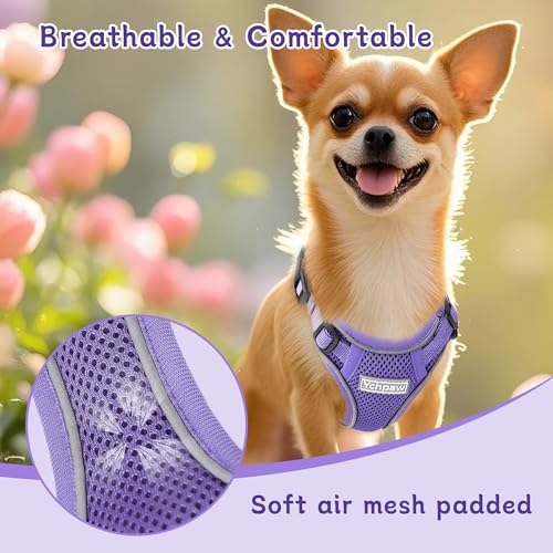 Small Dog Harness and Leash Set, Reflective Soft Breathable Mesh Vest, 3 Buckles, Adjustable Neck and Chest,Step in Dog Harness for Walking, Running, Training, Purple, S - color: Purple, size: Small