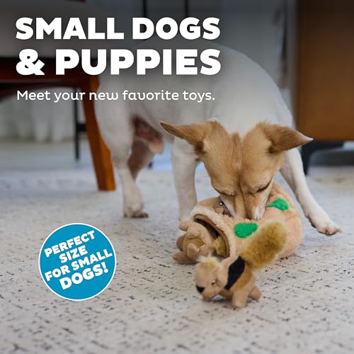 Outward Hound Squeakin’ Squirrels – 3‑Pack Plush Squeaky Dog Toys for Puppies, Small Dogs & Hide-A-Squirrel Replacements - color: Squirrels (3-pack)