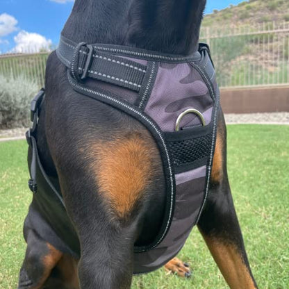 Dog Harness - color: Camo, size: XL