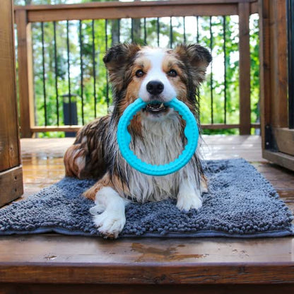 Messy Mutts Totally Pooched Chew n' Tug Ring | TPR Dog Toy | Made for Tough Chewers | Tough Fetch Ring for Dogs | 6.5” | Teal