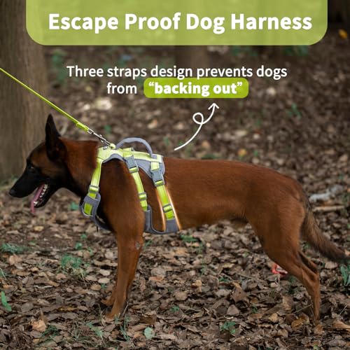 Huntboo Reflective Dog Harness with Handle, Escape Proof, No Slip, Breathable, Lightweight, Adjustable Lift Harness for Small, Medium, and Large Dogs Walking, Training,and Running Gear(Bright Green,M) - color: Bright Green, size: Medium (Pack of 1)