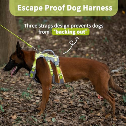 Huntboo Reflective Dog Harness with Handle, Escape Proof, No Slip, Breathable, Lightweight, Adjustable Lift Harness for Small, Medium, and Large Dogs Walking, Training,and Running Gear(Bright Green,M) - color: Bright Green, size: Medium (Pack of 1)