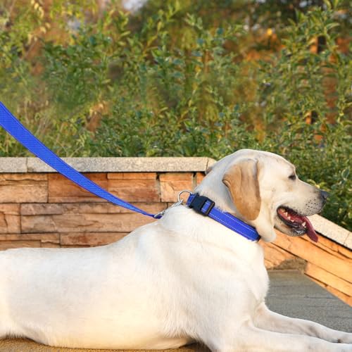 Dog Leash 6 FT Padded Handle Nylon Reflective Dogs Leashes for Small Dogs Blue - color: Refl Blue, size: Small : 5/8" x 6 FT