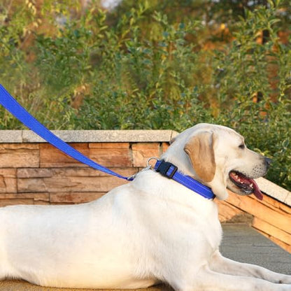Dog Leash 6 FT Padded Handle Nylon Reflective Dogs Leashes for Small Dogs Blue - color: Refl Blue, size: Small : 5/8" x 6 FT