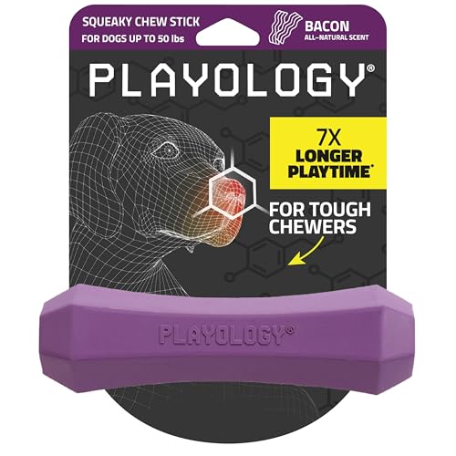 Playology Dog Toys | Squeaky Chew Stick for Dogs | Bacon Scented Medium Fetch Toy | Squeaky Dog Chew Toy - size: Medium, style: Bacon