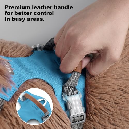 No Pull Dog Harness – Adjustable Reflective Nylon Vest for Small Medium Large Dogs, Escape Proof Training Harness with Leather Control Handle, Lightweight Aluminum Hardware (Cyan, M) - color: Cyan, size: M
