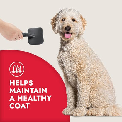 KONG Large Slicker Brush – Removes Loose Hair, Reduces Shedding, Comfortable Non-Slip Grip, Long Metal Pins, for Medium to Large Dogs with Medium to Long Coats, Red/Gray - size: Large Slicker