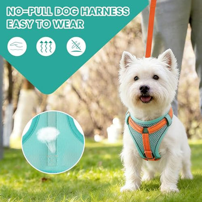 No-Pull Dog Harness with Dog Leash Breathable Mesh Adjustable Soft Padded Pet Vest Reflective for Small/Medium/Large Dogs Walking, Training - color: Blue, size: M