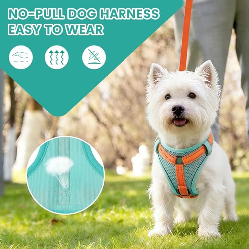 No-Pull Dog Harness with Dog Leash Breathable Mesh Adjustable Soft Padded Pet Vest Reflective for Small/Medium/Large Dogs Walking, Training - color: Blue, size: L