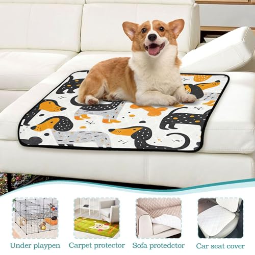 Qilmy Dog Pet Mat, Waterproof Reusable Dog Training Pad Anti-Slip Pet Creat Pad for Small Medium Large Dogs and Cats