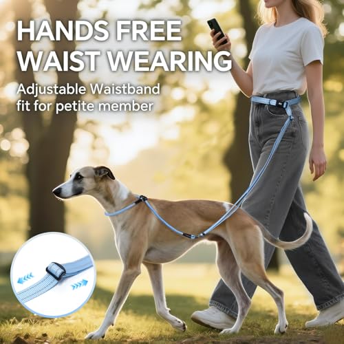 QQPETS Adjustable Slip Lead Dog Leash, Hands Free Waist Leash for Dog Walking, Reflective Training Lead with 360° Swivel Anti-Tangle, 4-7 ft Length for All Breeds - color: Blue Gradient