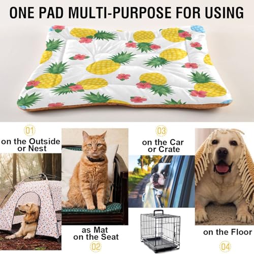 Pineapple Pattern Pet Bed Mat for Dogs and Cats, Soft Washable Crate Pad with Non-Slip Bottom, Cozy Bed Cushion for Small Medium Large Pets, 24x36 Inch - size: Medium