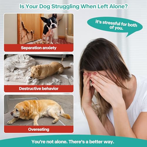 2 in 1 Lick Mat for Crate Training, Dog Slow Feeder Anxiety Relief Enrichment Pad with Suction Cups, Dishwasher Safe, BPA-Free Silicone for Small & Medium Dogs, 1 Pack - size: 1