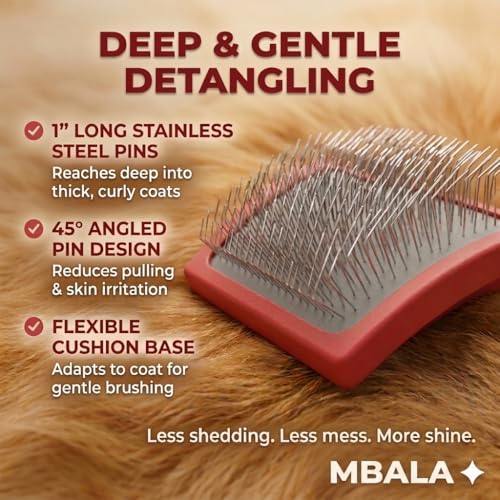 Dog Slicker Brush for Doodles, Goldendoodles & Labradoodles – Extra Long Pin Brush for Dematting & Deshedding – Removes Tangles, Knots & Loose Hair – Wooden Handle for Thick, Curly Coats (Large)