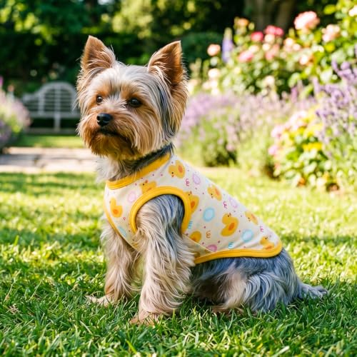 CuteBone Dog Shirts 2-Pack Soft Pet Clothes Breathable Summer Vest for Small Puppy and Stretchy Cat Apparel 2BX24S - color: Dino & Duck, size: Small