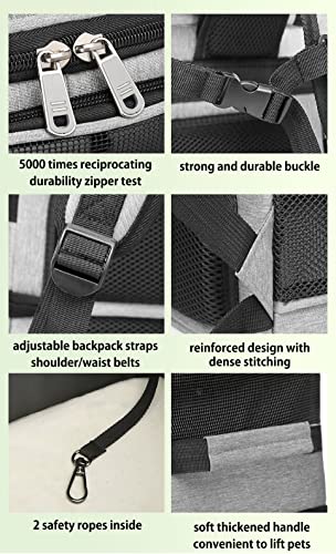 Double Cat Carrier, Cat Backpack Carrier for 2 Cats, Multi Dog Backpack, Two Cat Carrier with 7 Ventilation Windows, Built-in Frame and Support Plate, Safety Straps, Collapsible, Perfect for Travel - color: Grey Double