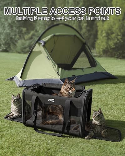 Soft-Sided Large Cat Carrier for 2 Cats, Spacious Foldable Pet Travel Carrier for Large Cats up to 25 Lbs, Double Cat Bag with Shoulder Strap, 20x13x13 Inch, Fits Maine Coon and Small Dogs, Black