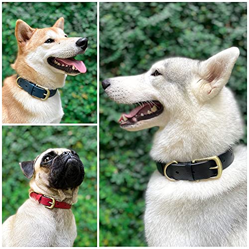 Tuff Pupper Classic Heavy Duty Dog Collar | 10x Stronger Than Leather | 100% Waterproof & Odor Proof Dog Collar | Tough Rust-Proof All Metal Hardware - color: Epic Black
