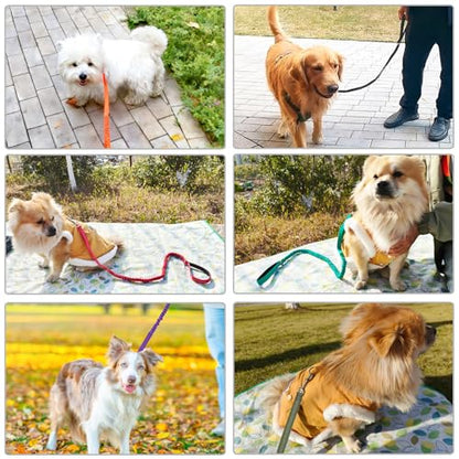 WYuZe 4ft Bungee Dog Leash Reflective Soft Handle Small Medium Dogs No Pull | Stretch Shock Absorbing Nylon Leash for Anti-pull Walking Training - color: Army Green