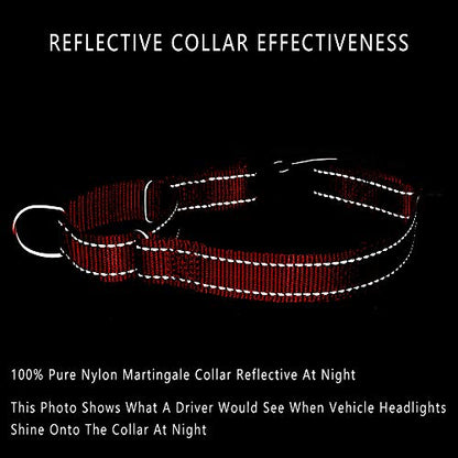 PLUTUS PET Reflective Martingale Collar with Quick Snap Buckle,No Pull Dog Choker Collar for Small Medium Large Dogs,XS,Red - color: Red, size: XS：10"-12"