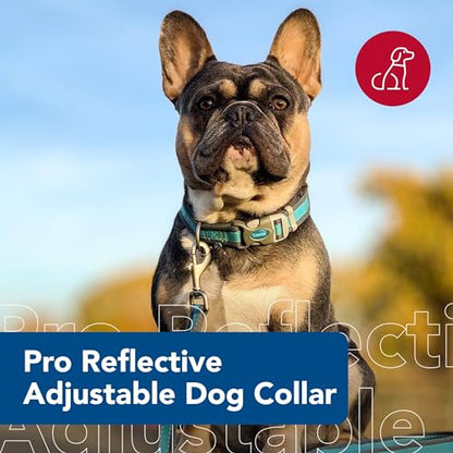 Coastal Pet - Pro - Reflective Adjustable Dog Collar, Bright Blue with Grey, 1" x 14-20"