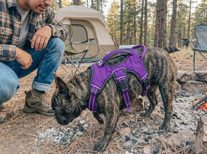 Tuff Pupper Escape Proof No Escape Dog Harness | 5 Point Adjustable Fit Harness for Dogs | Padded Dog Harnesses | Handle Dog Lift Harnesses - color: Purple, size: Small: 17-22 Inch Chest